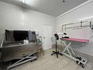 Photo 6- click for photo gallery